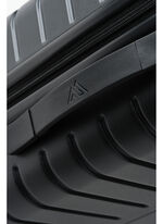 DIVIDE ROLLERS 콰드로 캐리온 캐리어