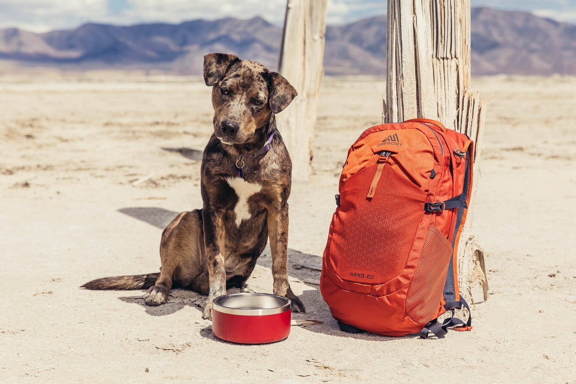 ESSENTIAL HIKING 나노 16 백팩