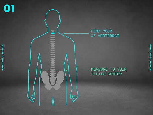 Measuring torso length along the spine
