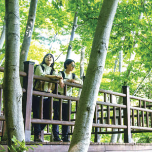 Editorial Item Image