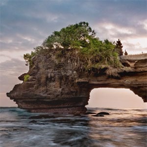 Editorial Item Image